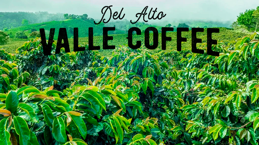 Del Alto Valle Coffee: Promoting Biodiversity and Sustainability from Colombia to New Orleans