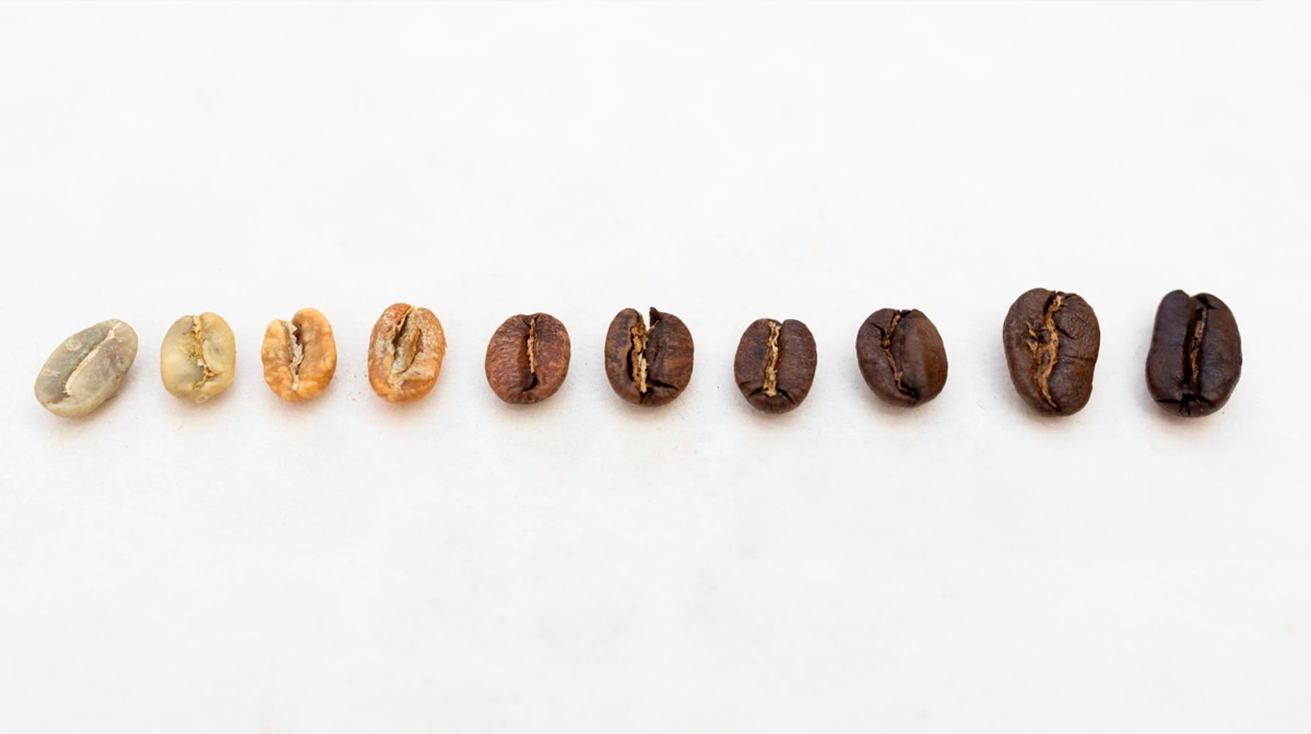 Coffee Evolution The History of the Coffee Process: From the Farm to Your Cup in New Or ...
