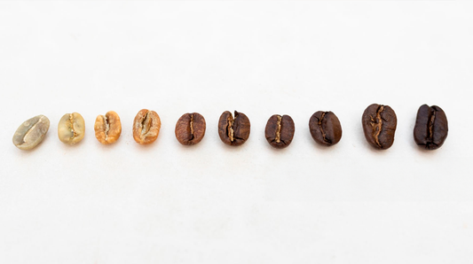 The History of the Coffee Process: From the Farm to Your Cup in New Orleans